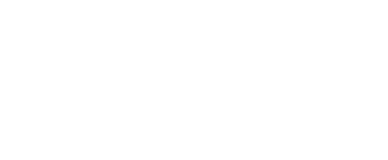 The Fitness Consultancy
